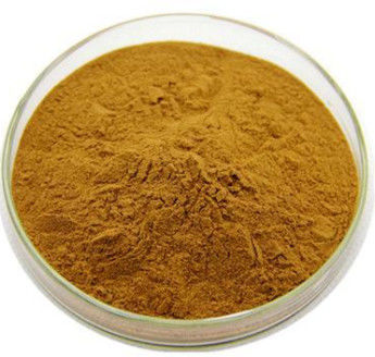 Bulk Powders Ginko Biloba Extract Light Yellow Brown Powder