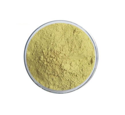 95% Rutin NF11 Yellow Powder Trans Resveratrol Supplements