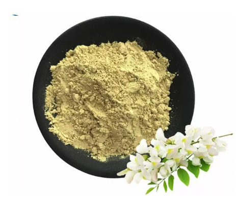 Greenish Yellow Powder Rutin Vitamin P Sophora Japonica Rutin Extract