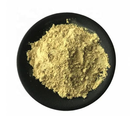 HACCP Rutin Vitamin P For Dietary Supplement Skin Care