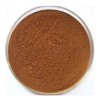 Food Grade Herbal Ginkgo Biloba Extract Powder Light Yellow Brown Powder