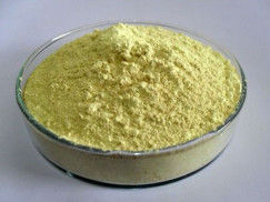 Light Yellowish Powder Scutellaria Baicalensis Extract 80% 85% 90% Baicalin Extract