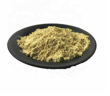 Dietary Supplement Rutin Vitamin P Sophora Japonica Extract